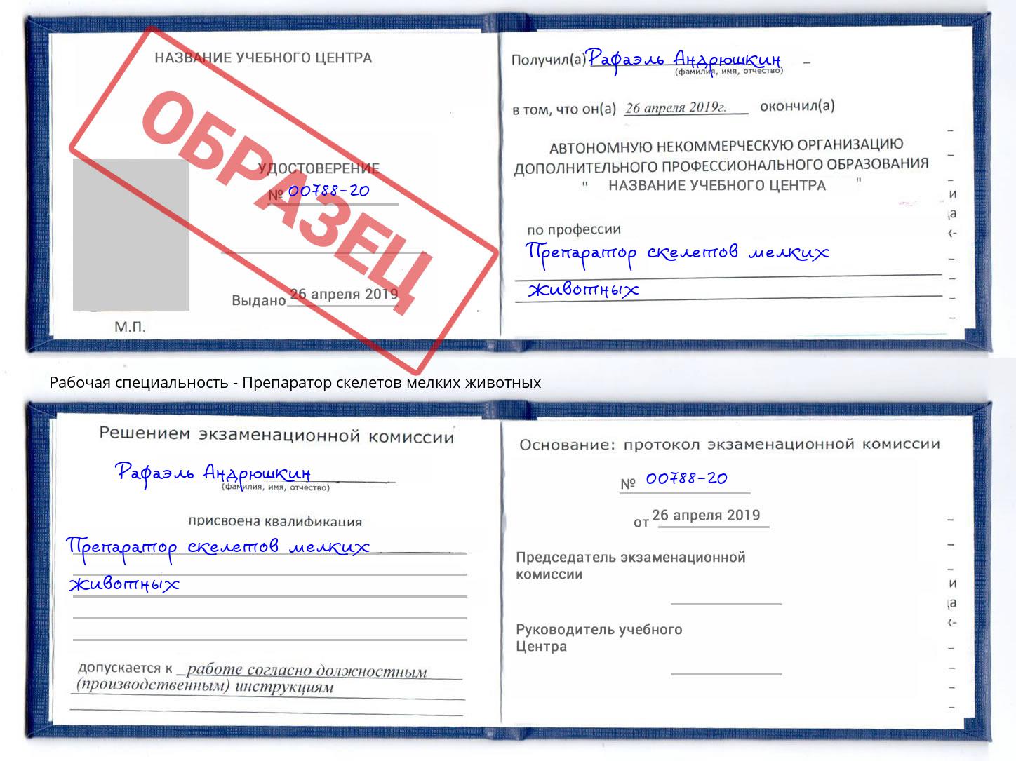 Препаратор скелетов мелких животных Нижний Новгород