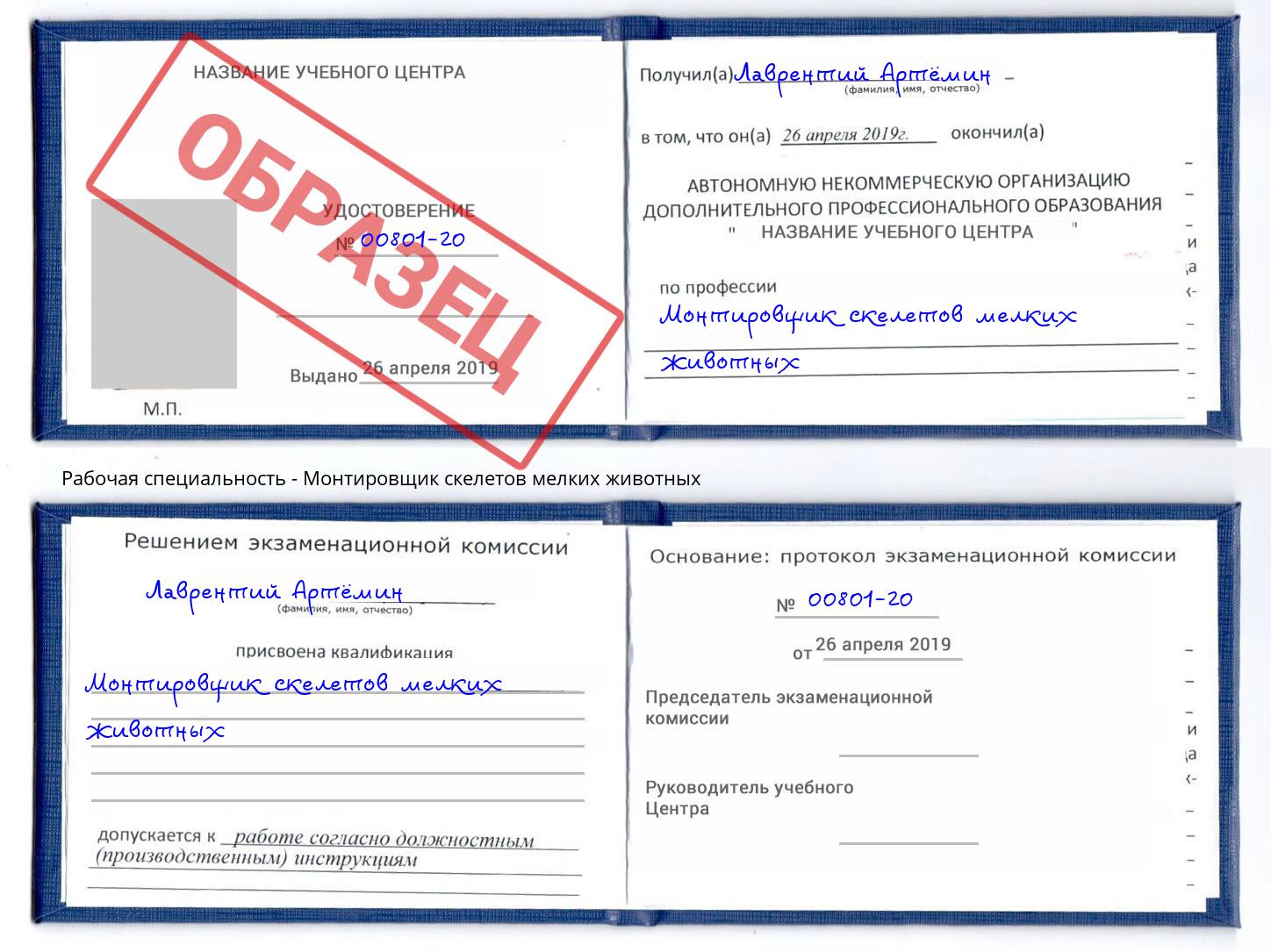 Монтировщик скелетов мелких животных Нижний Новгород