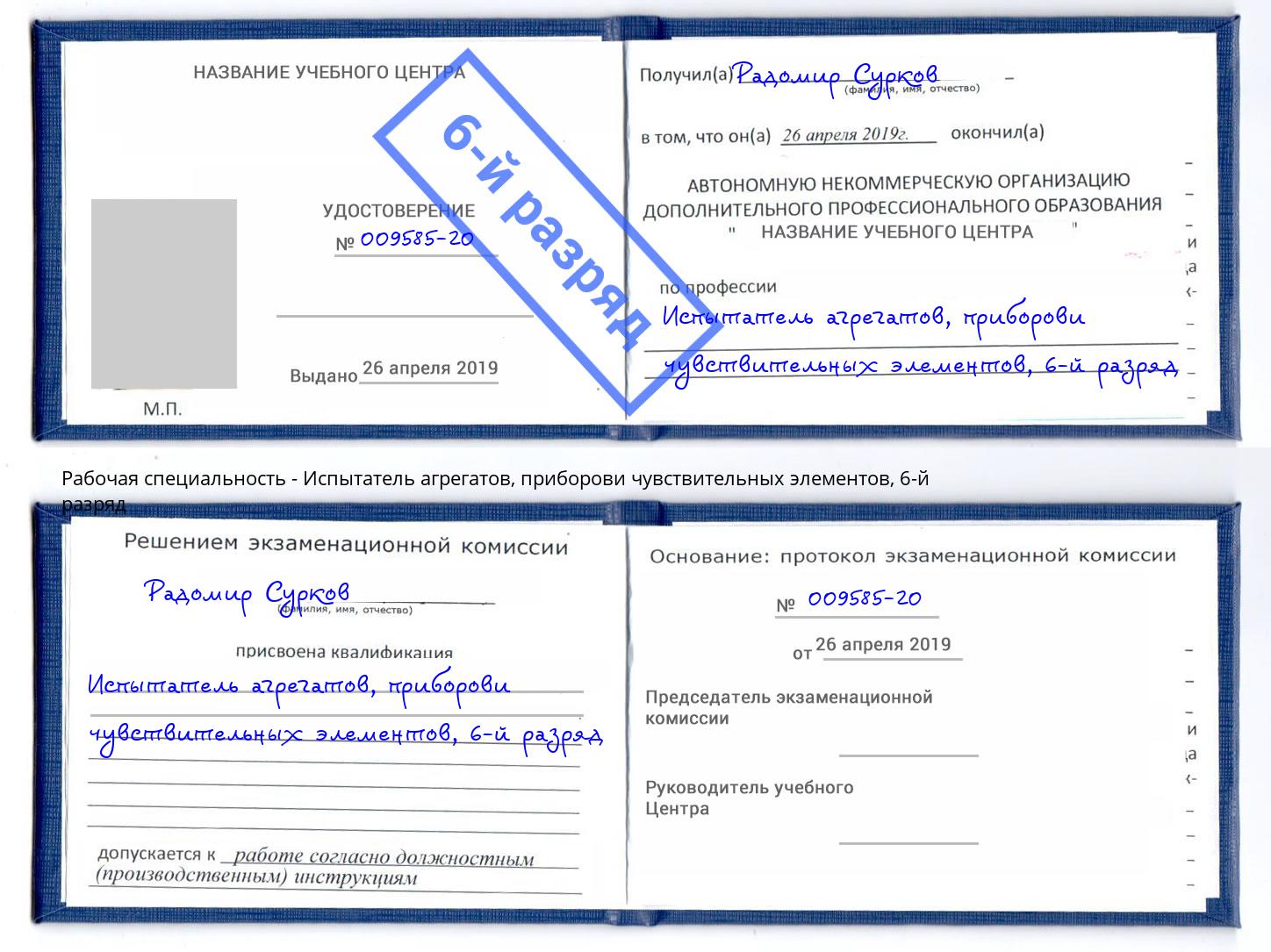 корочка 6-й разряд Испытатель агрегатов, приборови чувствительных элементов Нижний Новгород