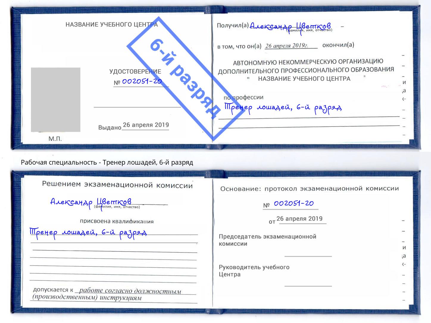 корочка 6-й разряд Тренер лошадей Нижний Новгород
