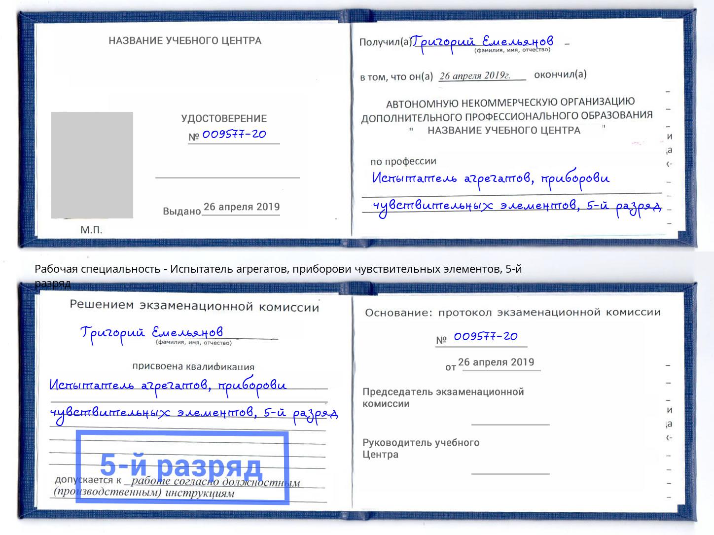 корочка 5-й разряд Испытатель агрегатов, приборови чувствительных элементов Нижний Новгород
