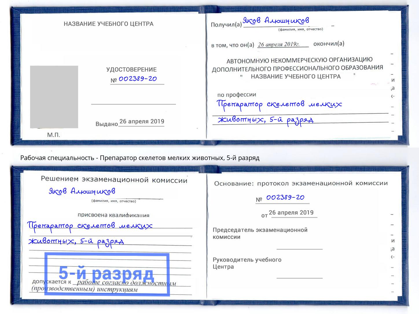 корочка 5-й разряд Препаратор скелетов мелких животных Нижний Новгород