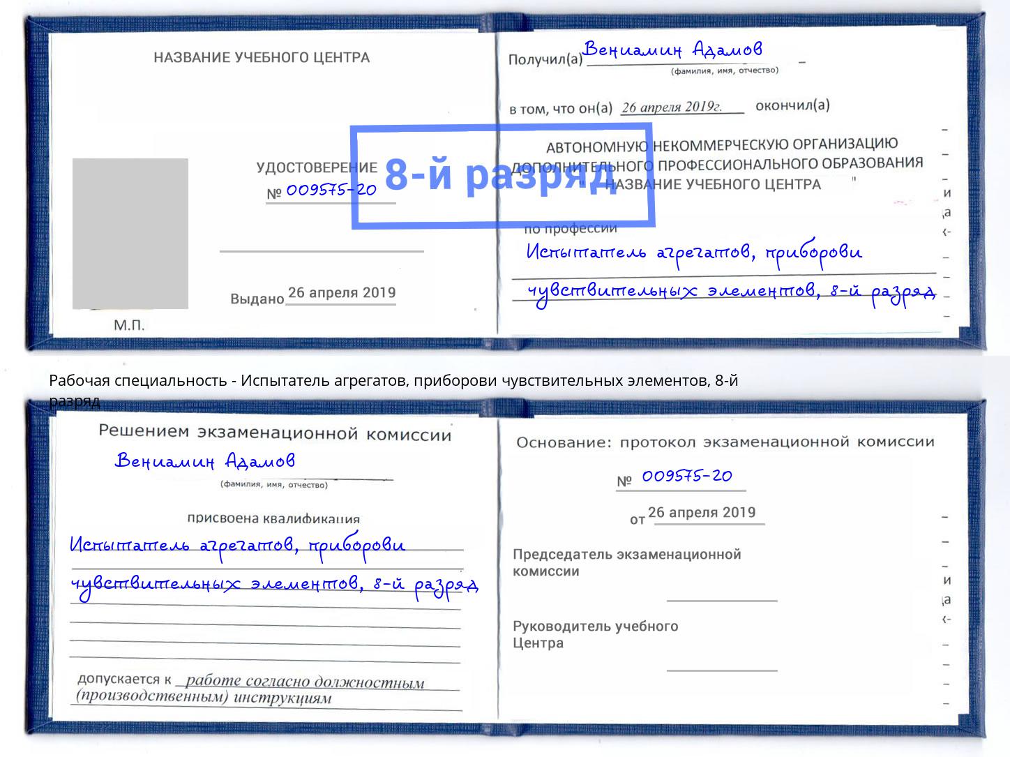 корочка 8-й разряд Испытатель агрегатов, приборови чувствительных элементов Нижний Новгород